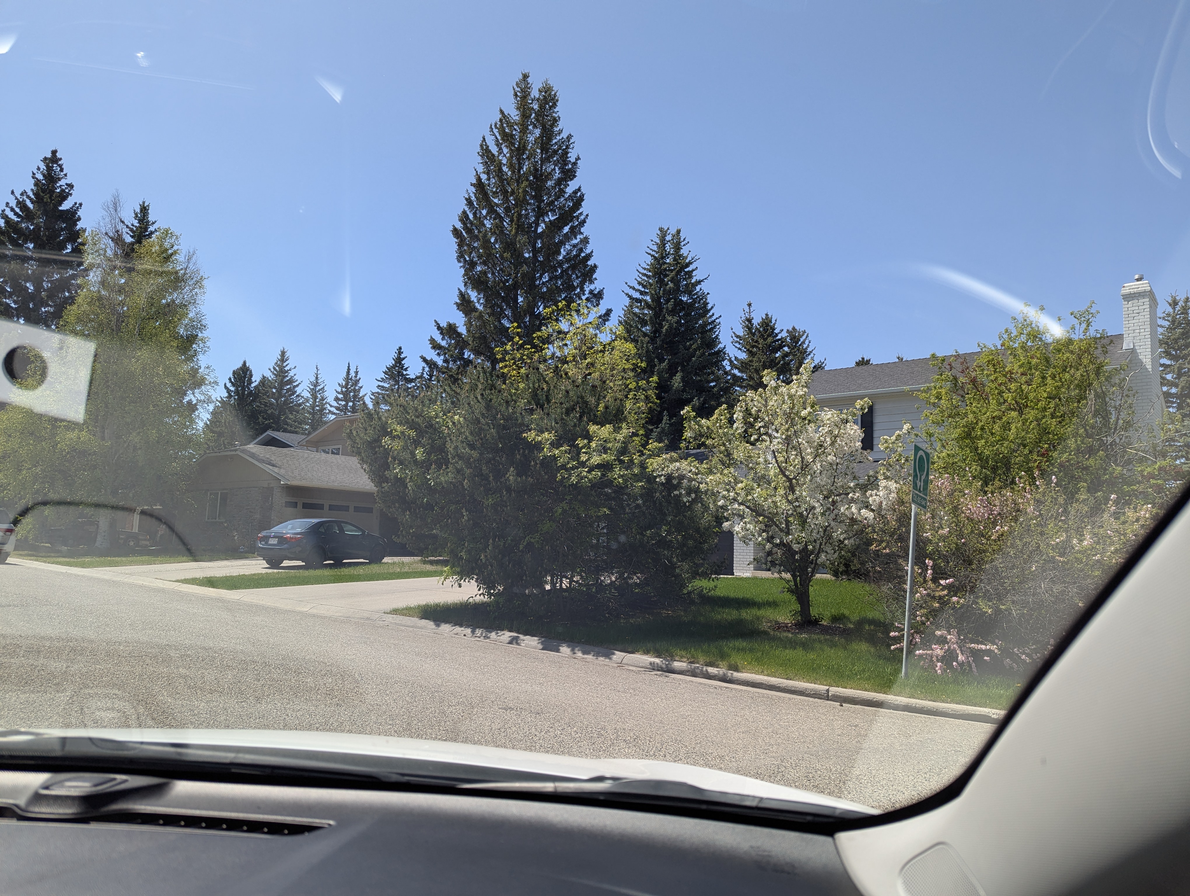 Birthday Trip to Canada, Calgary